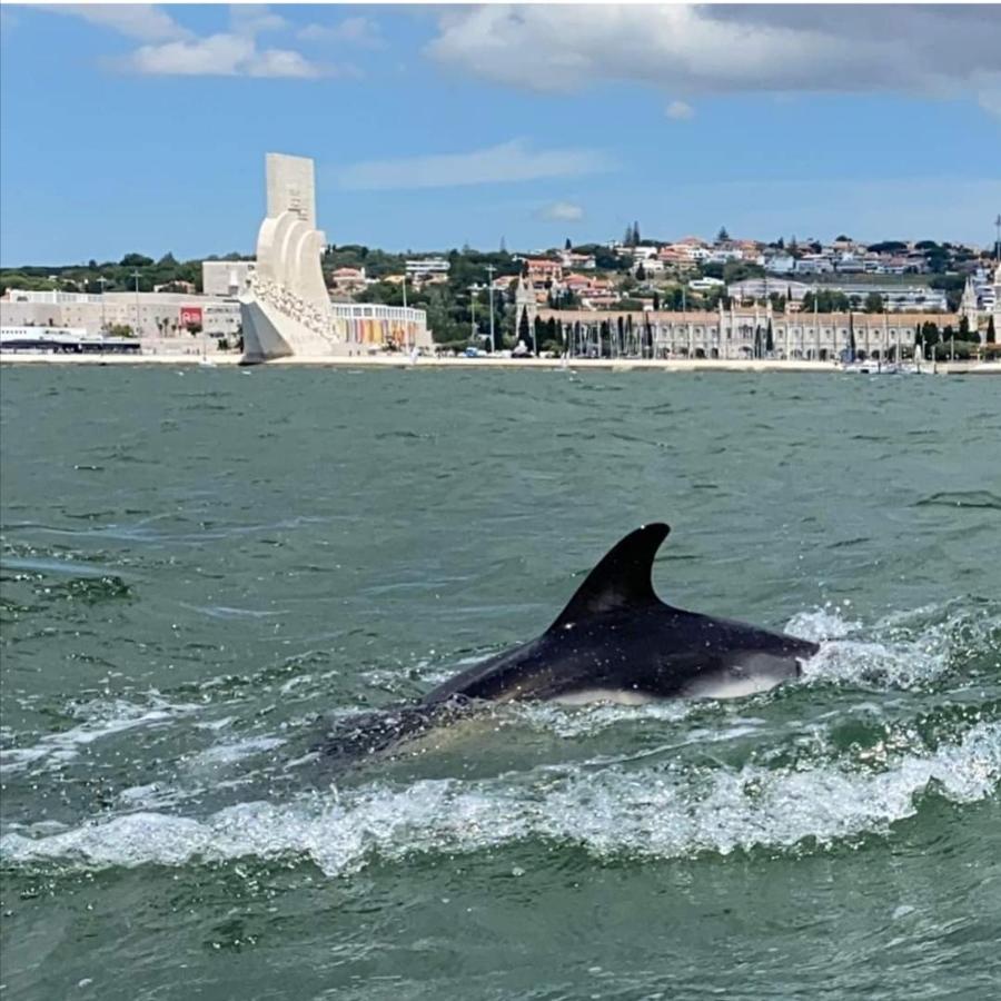 Tejo House River Lisbon Αλμάδα Εξωτερικό φωτογραφία